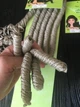 Зизи Baolai кудрявые Сью 55 см 22 Пепельный блонд - зображення 3