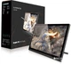 Графический монитор Huion Kamvas GT-191 + перчатка - изображение 9