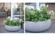 Горшок с кашпо для цветов Cozies L Keter 54х54х20,4 см (sad0001156) Фиолетовый - изображение 2