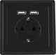 Розетка Lanberg Schuko Socket 2 USB Port 2.1A Чорна (AC-WS01-USB2-F-B) - зображення 1
