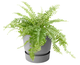 Вазон Elho Greenville Plant Hanger Single 23 см Светлый гранит (349714) - изображение 6