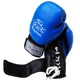 Боксерские перчатки Thai Professional BG5VL (10oz) Синие - изображение 1