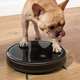 Робот пилосос Anker Eufy RoboVac G10 Hybrid - зображення 6