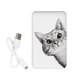 Power Bank ZIZ 5000 mAh Эй, Кот — Повербанк, УМБ, Портативная зарядка (44055) - изображение 2