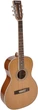 Гитара акустическая Richwood RV-70-NT blues guitar (17-5-36-8) - изображение 2