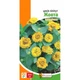 Цінія Ліліпут Жовта Жовтий Насіння Florium (726586) - зображення 4