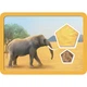 Семейные настольная игра Blue Orange Games Планета (на русском) 230855 - изображение 7