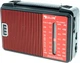 Радіоприймач FM радіо ФМ Golon RX-A08AC - зображення 1