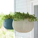 Вазон Keter Cozies S 3,2 л бежевий - изображение 2