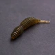 Съедобный силикон Angry Baits Червь Killer Lip 2" Olive 10 шт - изображение 4