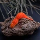 Съедобный силикон Angry Baits Червь Killer Lip 2" Crazy Carrot 10 шт - изображение 5