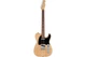 Електрогітара FENDER AMERICAN PROFESSIONAL TELECASTER (ASH) RW NAT - зображення 1