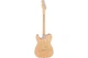 Електрогітара FENDER AMERICAN PROFESSIONAL TELECASTER (ASH) RW NAT - зображення 2