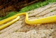 Wąż ogrodowy Cellfast Plus 25 m 1" (5901828850721) - obraz 3