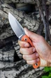 Ніж Ruike Hornet F815-J. 49709 - изображение 9