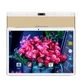 Планшет Hoozo MT232 Gold - изображение 1