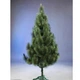 Штучна сосна LSK Новорічна 1,70 м (СН-170) - зображення 1