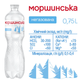 Упаковка мінеральної природної столової негазовоної води "Моршинська" 0,75 л х 12 пляшок - зображення 2