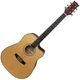 Гитара акустическая Parksons JB4111C Natural (JB4111c-nat) - изображение 1