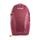 Туристический рюкзак Tatonka Hiking Pack 20 Bordeaux Red (TAT 1546.047) - изображение 3