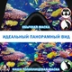 Дитяча X/S Панорамна Снорклінг Маска (3-10років) Повнолицева FB KidsStyle для плавання в морі, пірнання під воду з трубкою Плавальні Підводні Окуляри для снорклінгу - мономаска на все обличчя із захисним клапаном Pink - зображення 5
