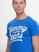Футболка хлопковая длинная мужская Tommy Hilfiger 9625.3 L Электрик - изображение 4