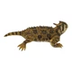 Фигурка Lanka Novelties Рогатая ящериц 30 см (21549) (10-550274) - изображение 2