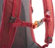 Рюкзак Pinguin Ride 19 PNG 327137 2020 Red (8592638327137) - изображение 3