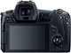 Беззеркальный фотоаппарат Canon EOS R body - изображение 2