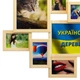 Деревянная мультирамка на 7 фото Волна любви, натуральное дерево - изображение 3