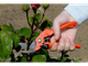 Секатор универсальный - Bahco PG-01-F - изображение 4
