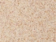 Декоративна штукатурка CHEMIPLAST RESIMARM 524 мармур 1,2 мм 10 кг (4820166150465) - изображение 2