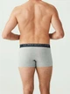 Набор трусов-боксеров мужских US Polo Assn 80332 L 3 шт GREY MLG/NAVY/CAMOUFLAGE (8680557273700) - изображение 10