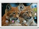 Планшет - телефон Hoozo MT232 Gold + Чехол-клавиатура + Карта памяти 32GB - изображение 3
