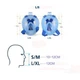 Полнолицевая панорамная маска для плавания Easybreath (S/M) А005521 Бирюзовая с креплением для камеры - изображение 3