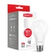 Лампа світлодіодна Maxus A65 (12W, 3000K, 220V, E27) - зображення 2