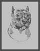 Плед Love You Dog 140х200 см (4820063014085) - изображение 3