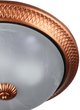 Светильник настенно-потолочный Brille BR-02 262/2 (174286) - изображение 2