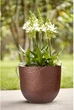 Вазон Elho Fuente Lily 30x24 см Коричневый (359256) - изображение 2
