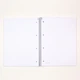 Записная книга коледж-блок Brunnen Premium А4 в точку 80 листов (10 671 47) - изображение 4