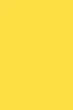 Фон бумажный Savage Widetone Canary рулон 2.72x11 м (38-12) - изображение 2