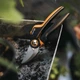Sekator nożycowy Fiskars X-series P961 L (6411501111234) - obraz 4