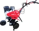 Культиватор Pubert TERRO 60 BC2 (3000521802/3000521803) - изображение 1
