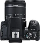 Фотоапарат Canon EOS 250D BK 18-55 IS (3454C007AA) - зображення 8