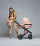 Коляска Anex E-Type 2в1 / peach (1022505) - изображение 9