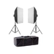 Набор постоянного света Visico FL-307 (50x70см) Double Kit - изображение 1