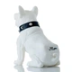 Портативна бездротова Bluetooth колонка CoolDog M10 Білий - зображення 2