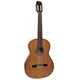 Гитара классическая Admira Malaga с тюнером - изображение 1