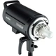 Набор Студийного Света Godox DP600III / UB-130 Kit для Портретов - изображение 7