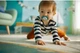 Smoczek ortodontyczny Philips AVENT Ultra Air Animals 6-18m 2 szt SCF080/07 (8710103949411) - obraz 6